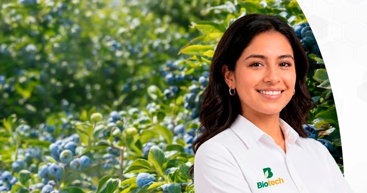 Representante Técnico de Desarrollo (RTD)  Agroindustria - Trujillo